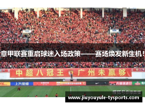意甲联赛重启球迷入场政策——赛场焕发新生机！