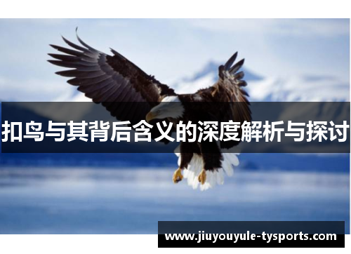 扣鸟与其背后含义的深度解析与探讨